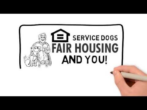Service Dogs Emotional Support Dogs & Housing Laws