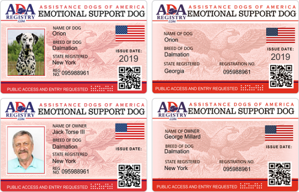 Do Service Dogs Have Id Cards