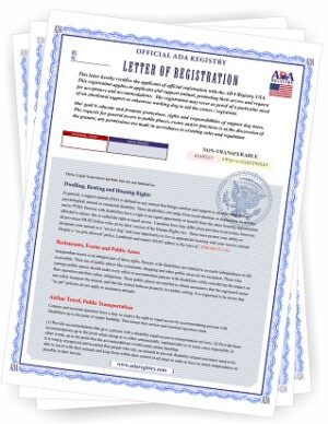 Registration Letters
