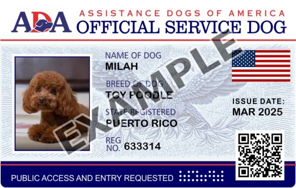 Service Dog ID Card