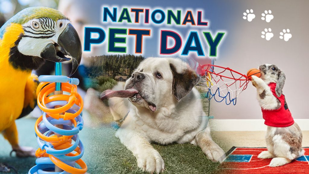 National Pet Day ADA Assistance Dog Registry