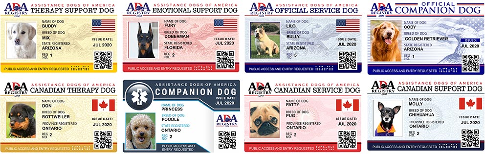Instant Support Dog Registration | ADA Assistance Dog Registry