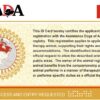 Canadian Therapy Dog - Image 2