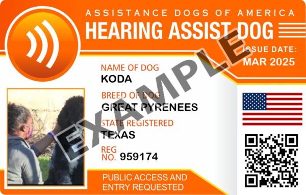 Hearing Assistance Dog