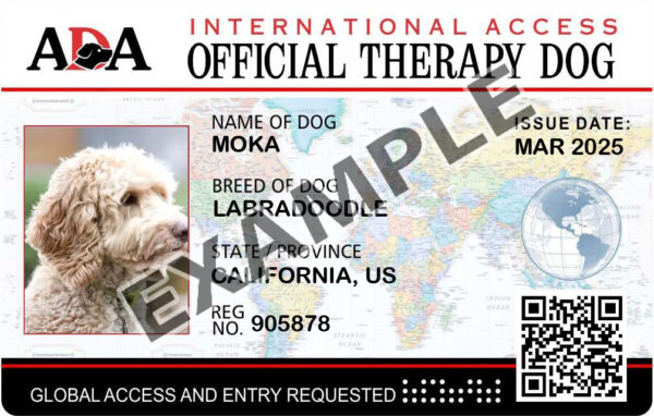 International Card