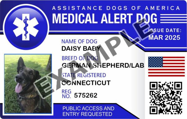 Medical Alert Dog