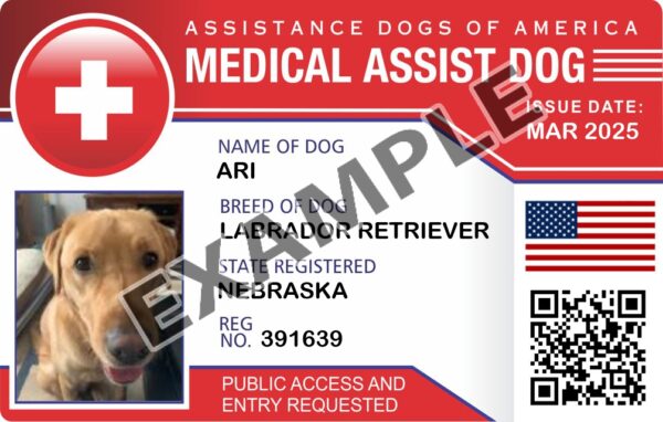Medical Assist Dog
