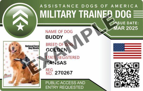 Military Trained Dog