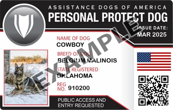 Personal Protection Dog