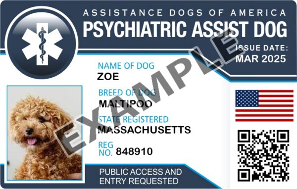 Psychiatric Assistance