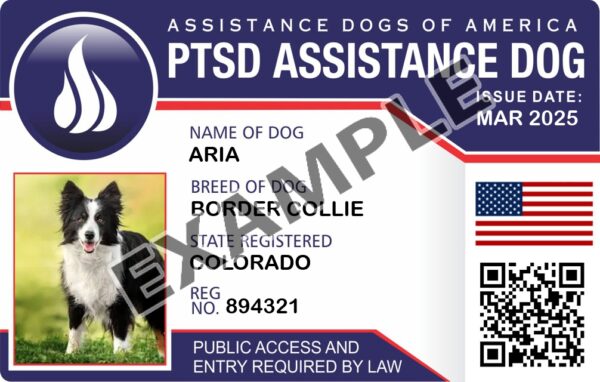 PTSD Assistance Dog