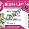 Seizure Alert Dog