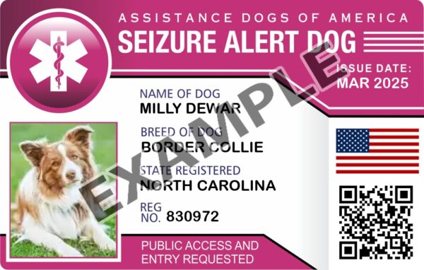 Seizure Alert Dog