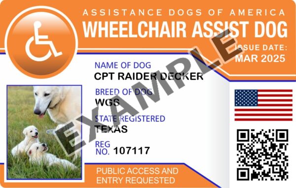 Wheel Chair Card