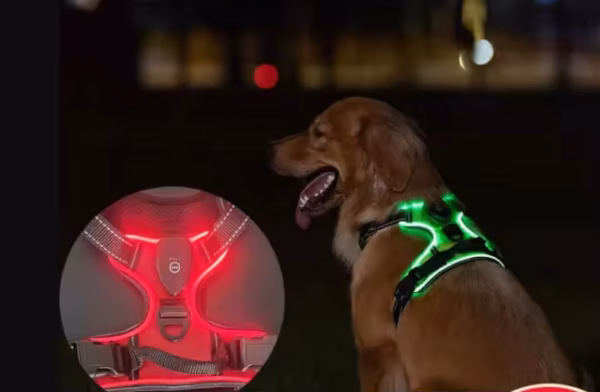 LED High Visibility Vest