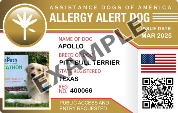 Allergy Alert Service Dog