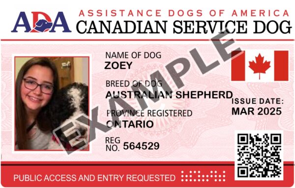 Canadian Service Dog