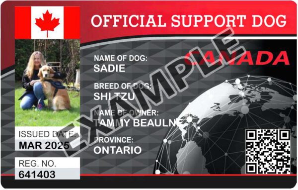 Canadian Support Dog