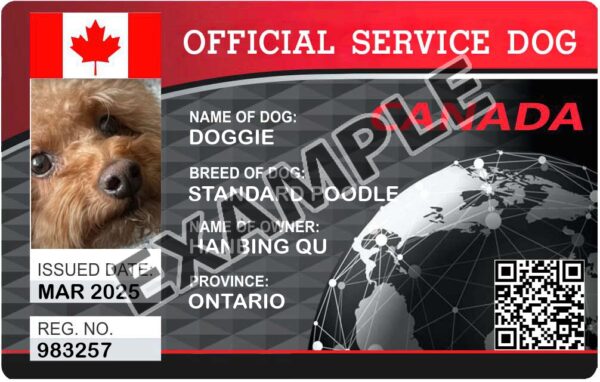 Canadian Service Dog
