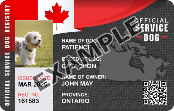 Canadian Service Dog