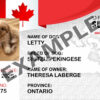 Canadian Support Dog