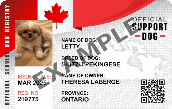 Canadian Support Dog