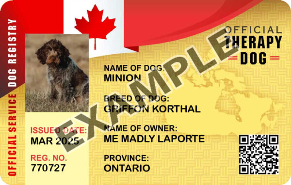 Canadian Therapy Dog