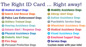 USA & CANADA Service Dog ID Cards