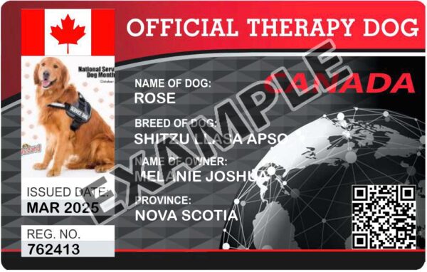 Canadian Therapy Dog