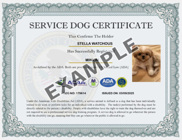 Visual Dog ID Card - Image 3