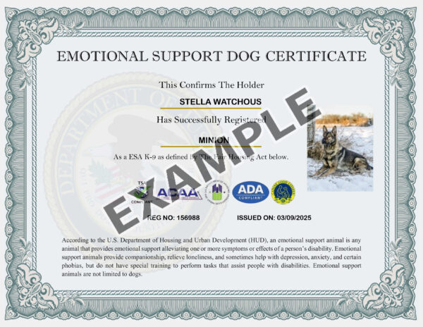 Support Dog ID Card - Image 3