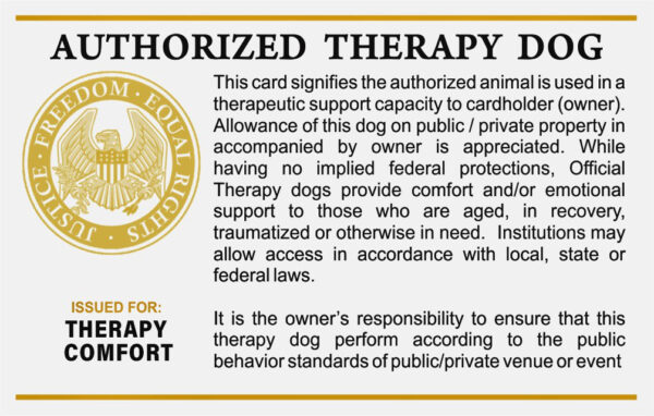 International Card - Image 2