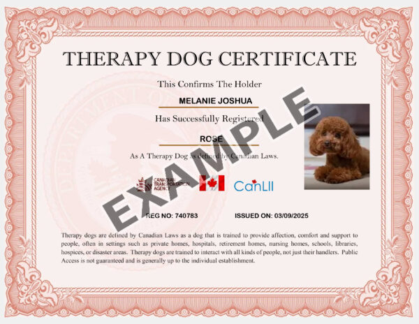 Canadian Therapy Dog - Image 3