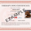 Canadian Therapy Dog - Image 3
