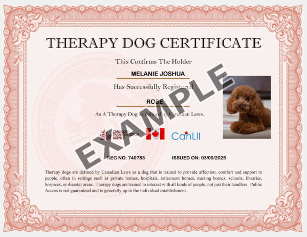 Canadian Therapy Dog - Image 3