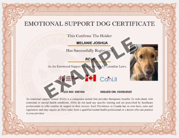 Canadian Support Dog - Image 3