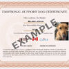 Canadian Support Dog - Image 3