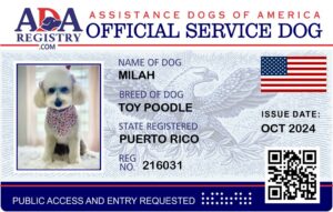 ADA Cards