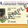 Canadian Therapy Dog