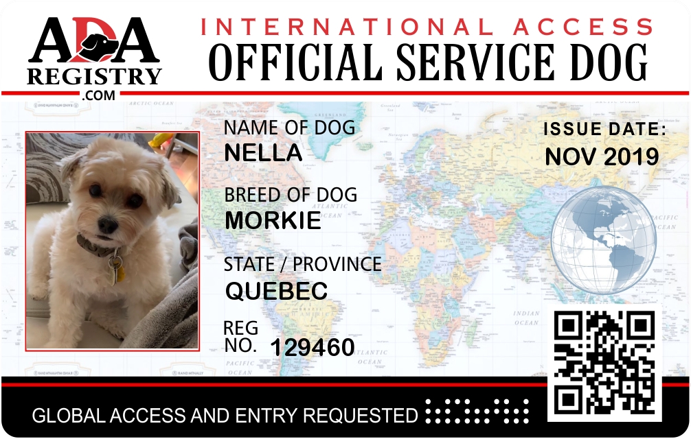 International Service Dog Registration for Nella | ADA Assistance Dog  Registry