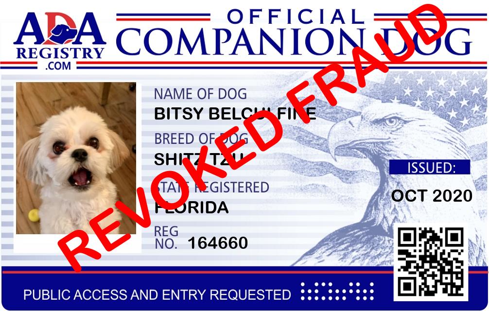 Companion Dog Registration for Bitsy Belculfine ADA Assistance Dog Registry