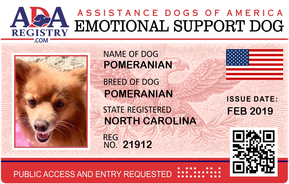 pomeranian emotional support dog
