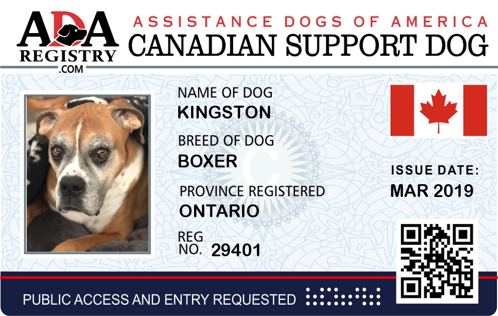 Emotional Support Dog Registration for Kingston | ADA Assistance Dog  Registry
