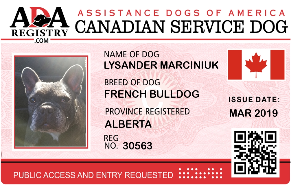 canadian service dog registration