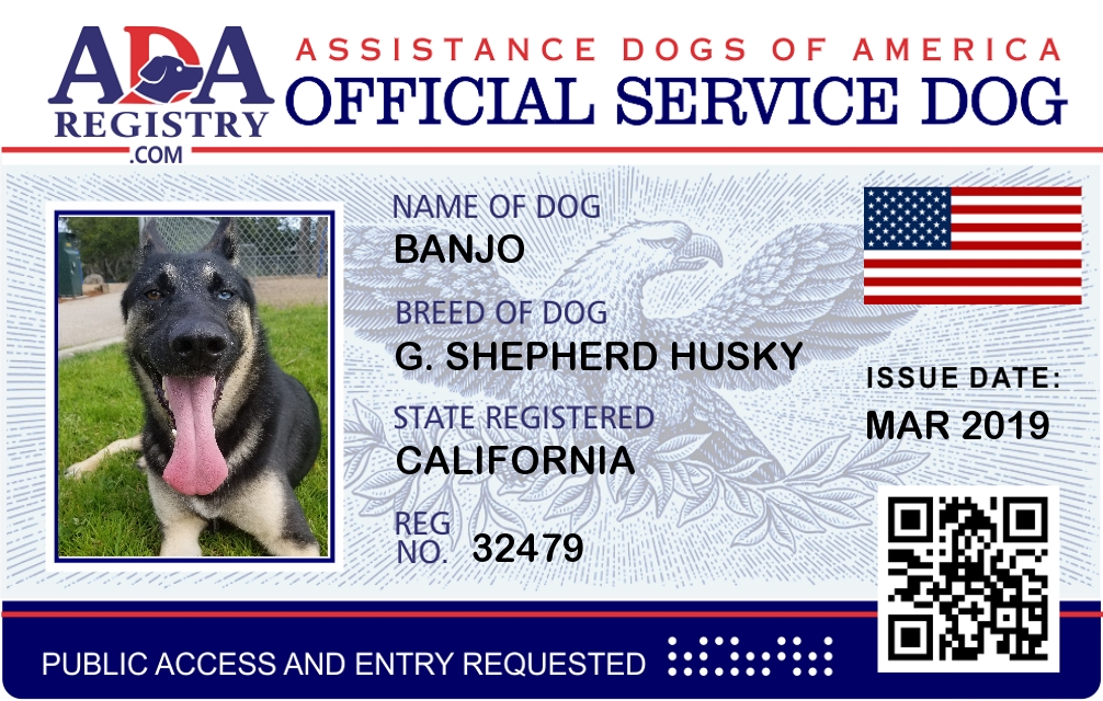 Service Dog Registration Emotional Support Dog Therapy Dog |  