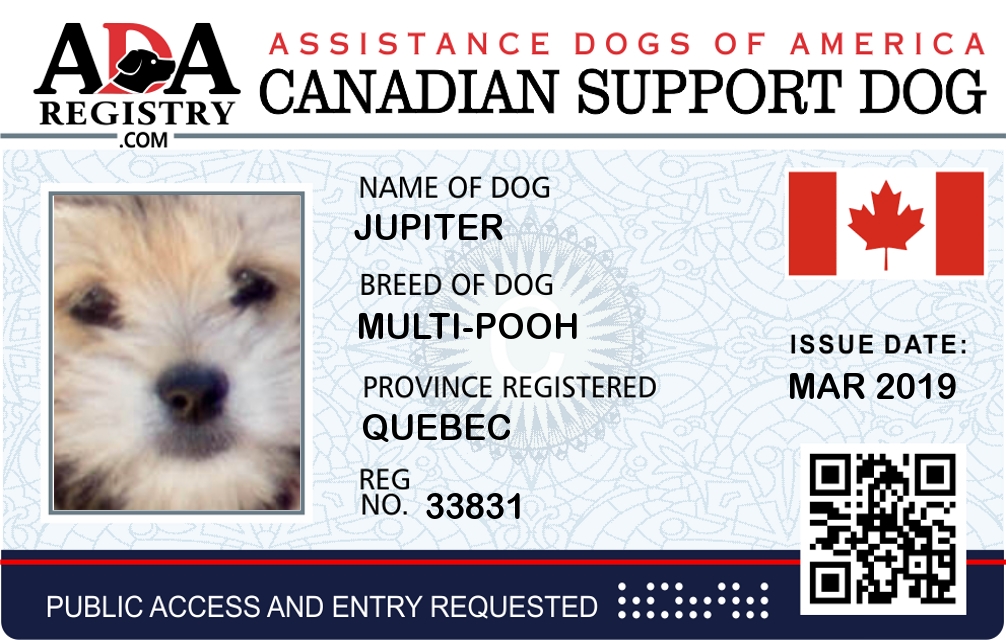 international working dog registry