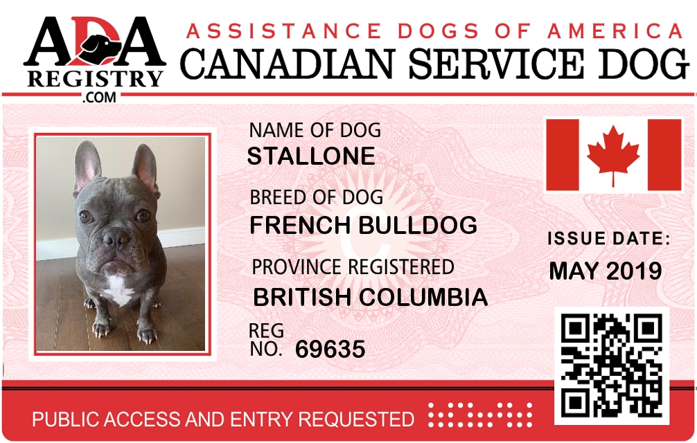 canadian service dog registration