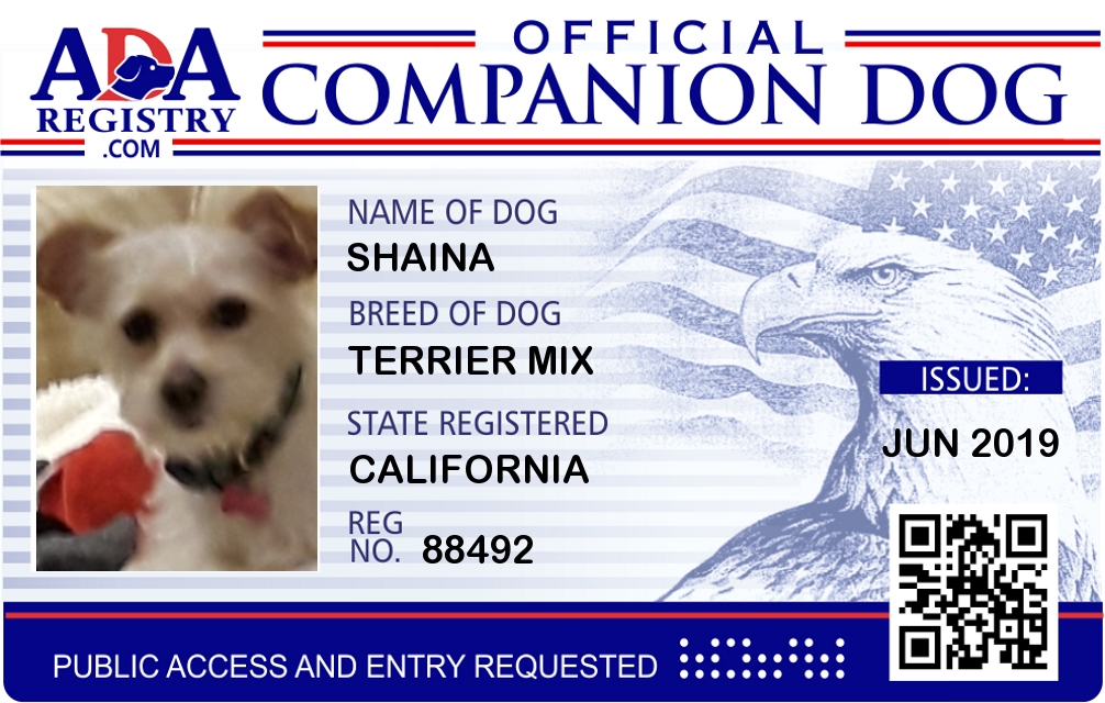 Companion Dog Registration for Shaina 