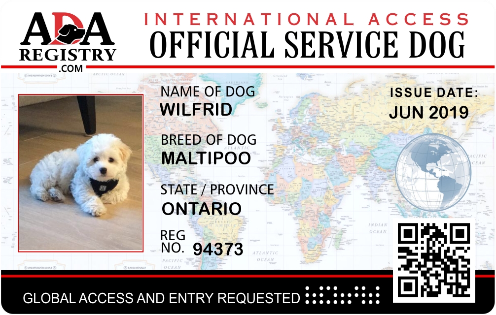 International Service Dog Registration for Wilfrid | ADA Assistance Dog  Registry