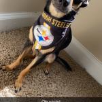 Bootz with Steelers bandanna